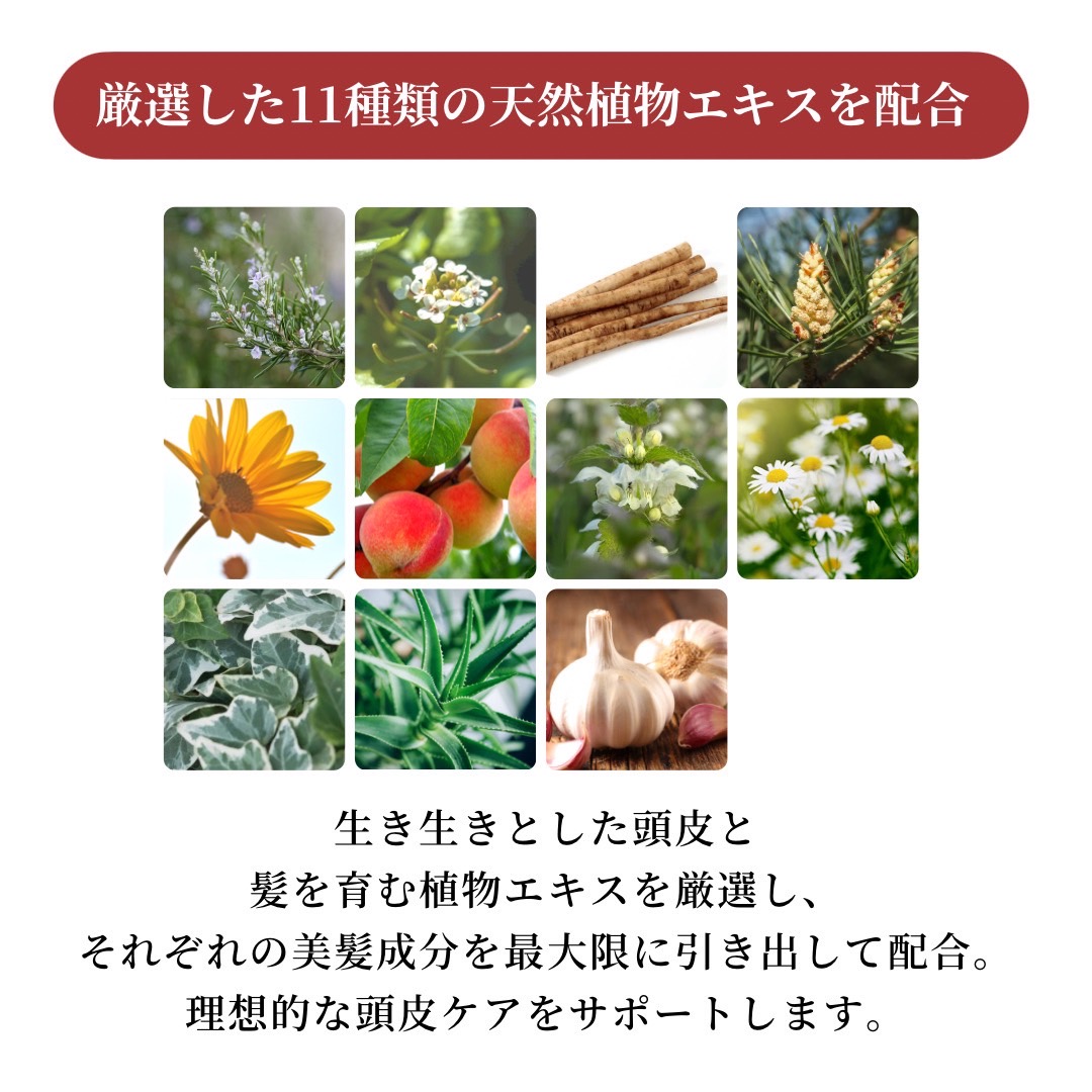 厳選した11種類の天然植物エキスを配合